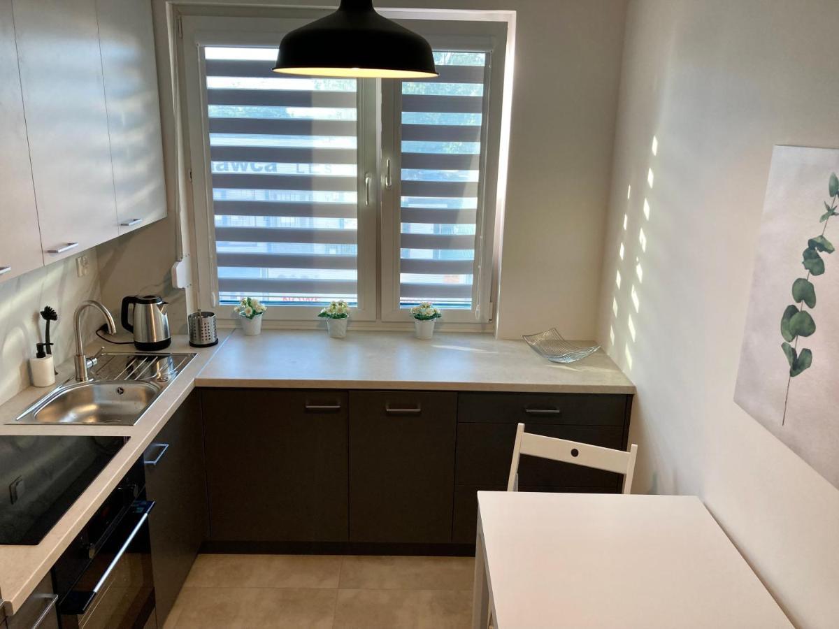 Apartament Lagiewniki Cracovie Extérieur photo