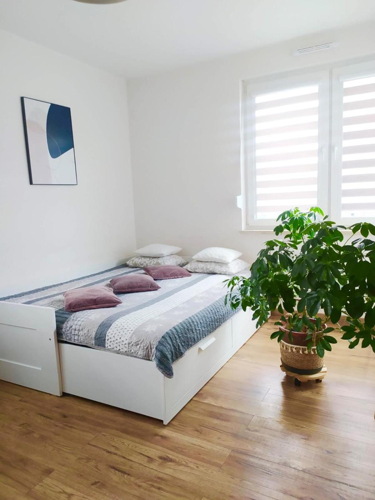 Apartament Lagiewniki Cracovie Extérieur photo